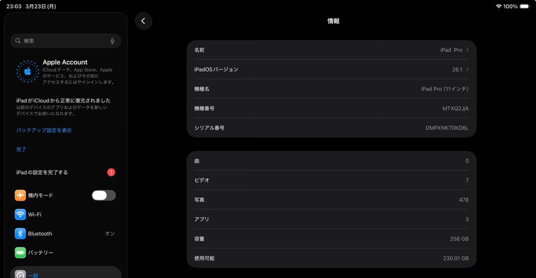 iPadPro 11インチ2018 256GB ApplePencil 2