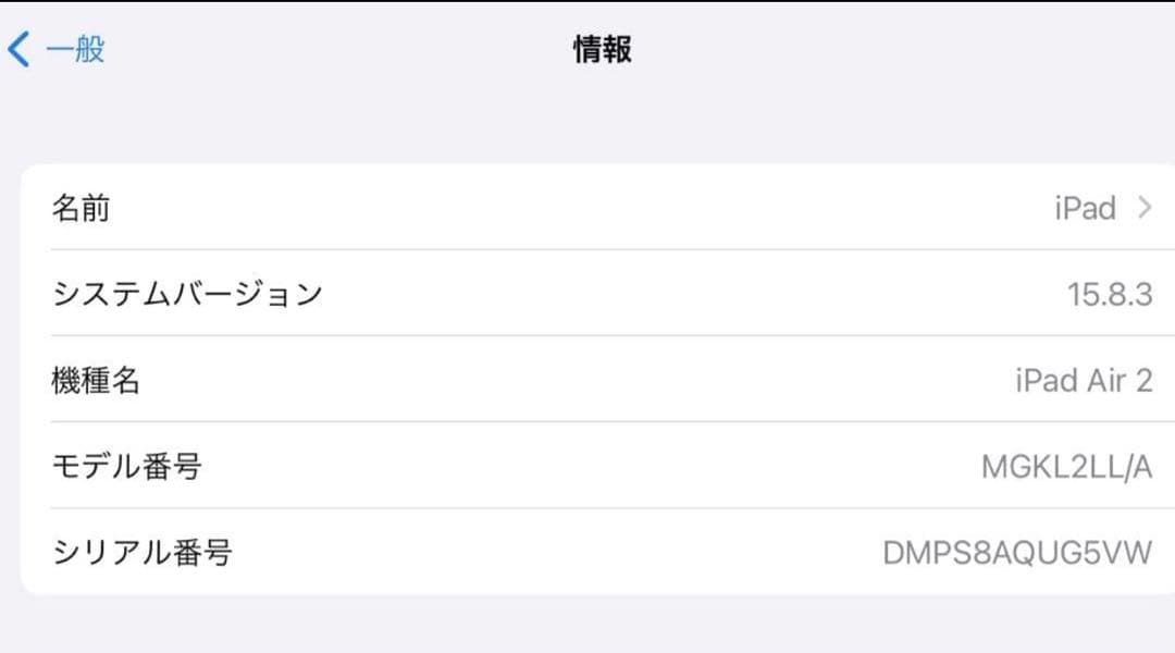 M*g様 iPad Air 9.7インチ 第2世代 Wi-Fi 64 GB スペ