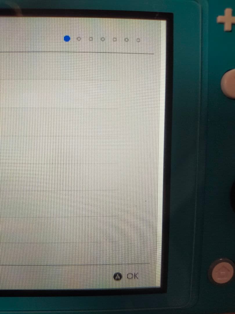 【ジャンク】Nintendo Switch Lite ターコイズ 本体 ケース付