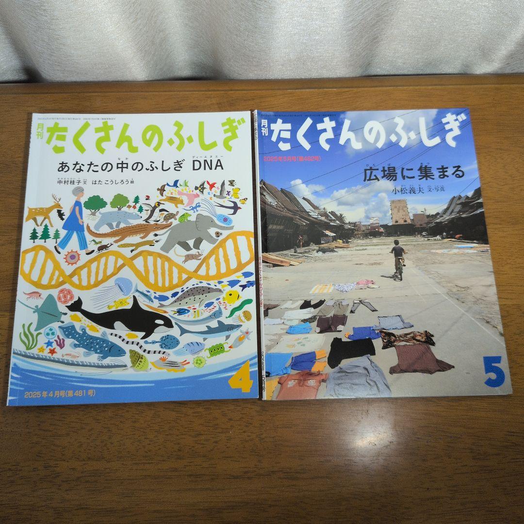 【1年分・12冊セット】月刊 たくさんのふしぎ 2025年4月〜2026年3月
