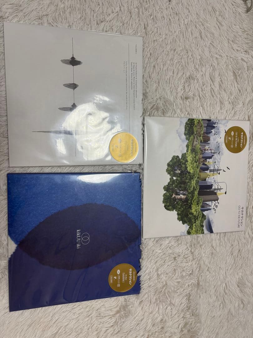サカナクション レコード LP