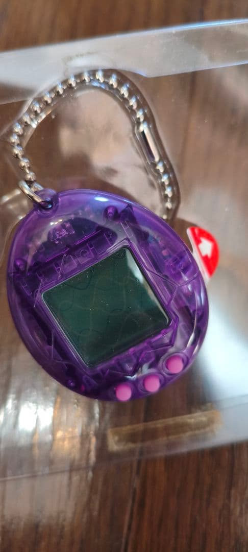 【動作確認済】海で発見たまごっち(おまけ：新品電池付き)