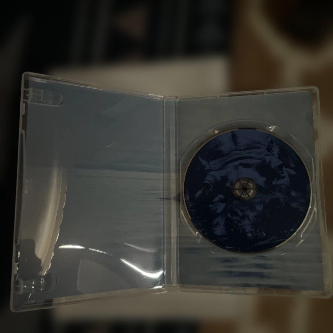 『美品』米倉利紀/DVD/blue HIPPOPOTAMUS