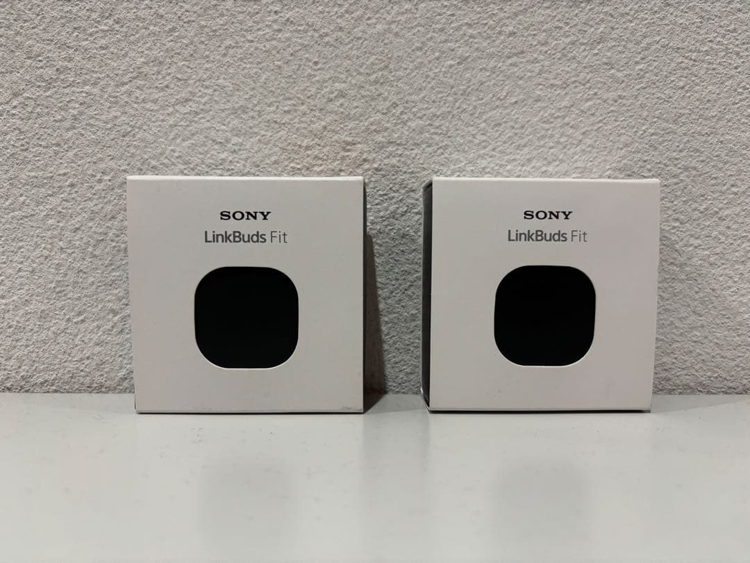 キタニタツヤ　LinkBuds Fit 専用ケース