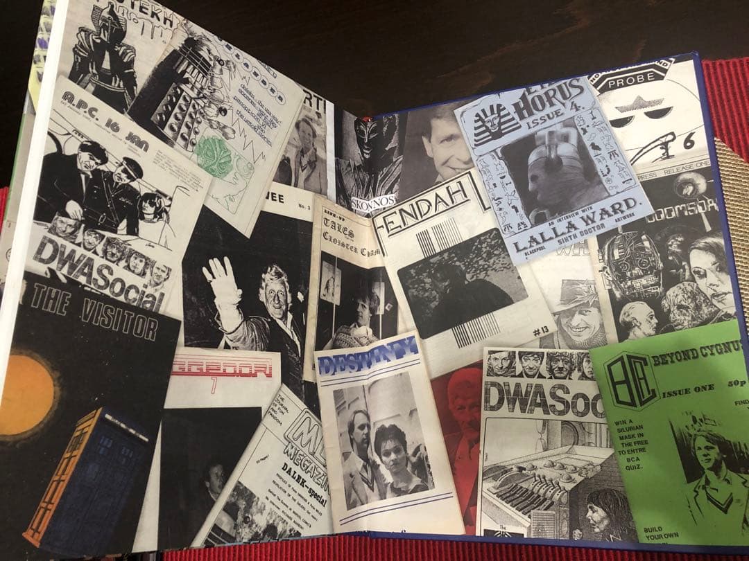 絶版　THE FANZINE BOOK - ALISTAIR McGOWN