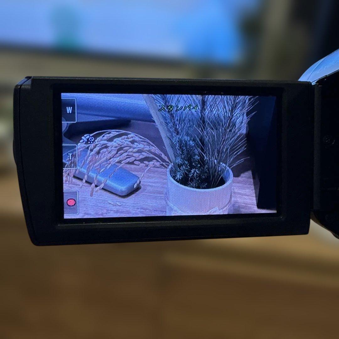 SONY HDR-CX370Vハンディカム本体　2010年製