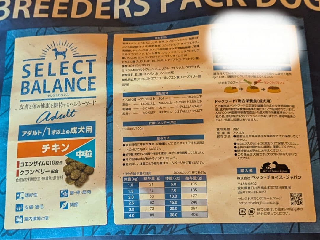 りんごチャン