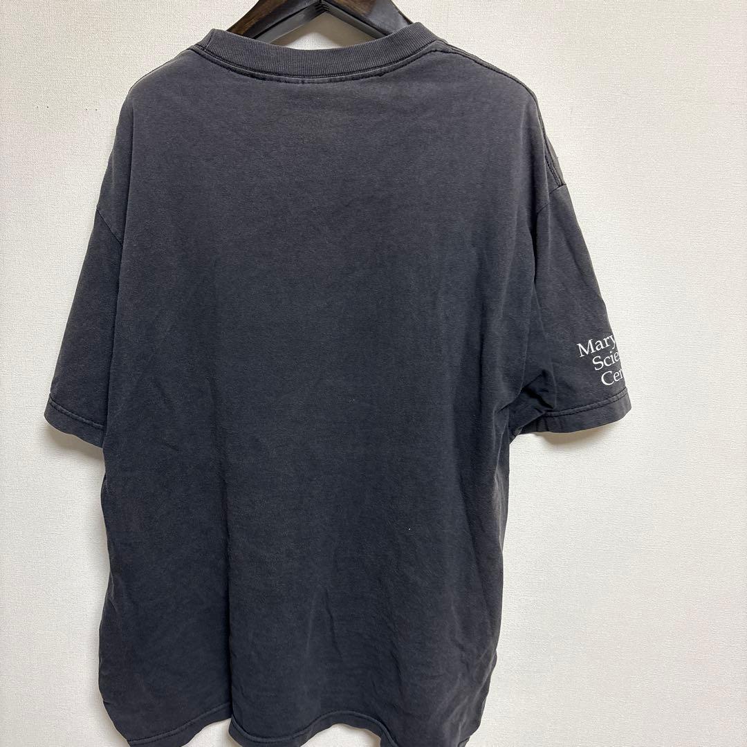 元素周期表デザイン Tシャツ L