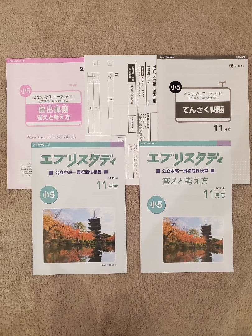 Z会 エブリスタディ 適性検査 小５ 公立中高一貫
