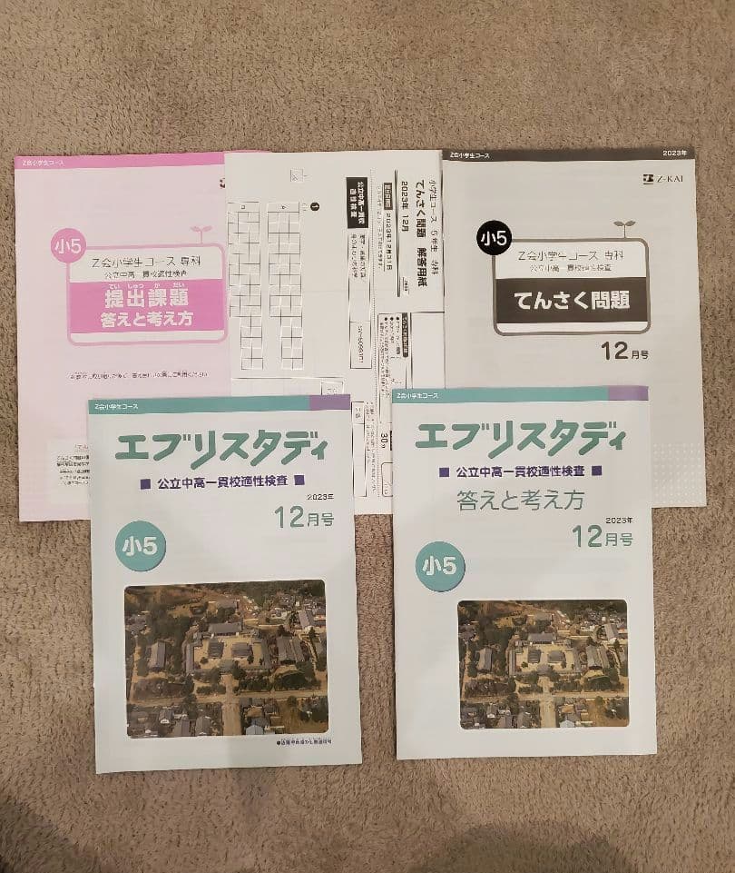Z会 エブリスタディ 適性検査 小５ 公立中高一貫