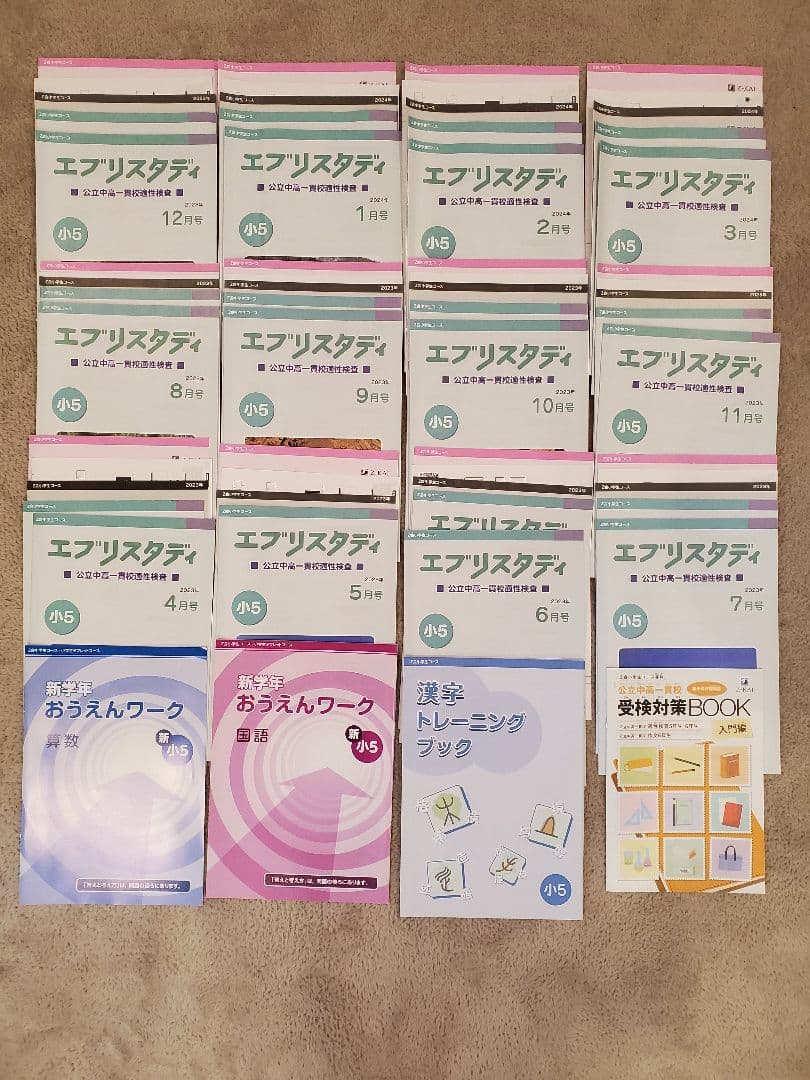 Z会 エブリスタディ 適性検査 小５ 公立中高一貫