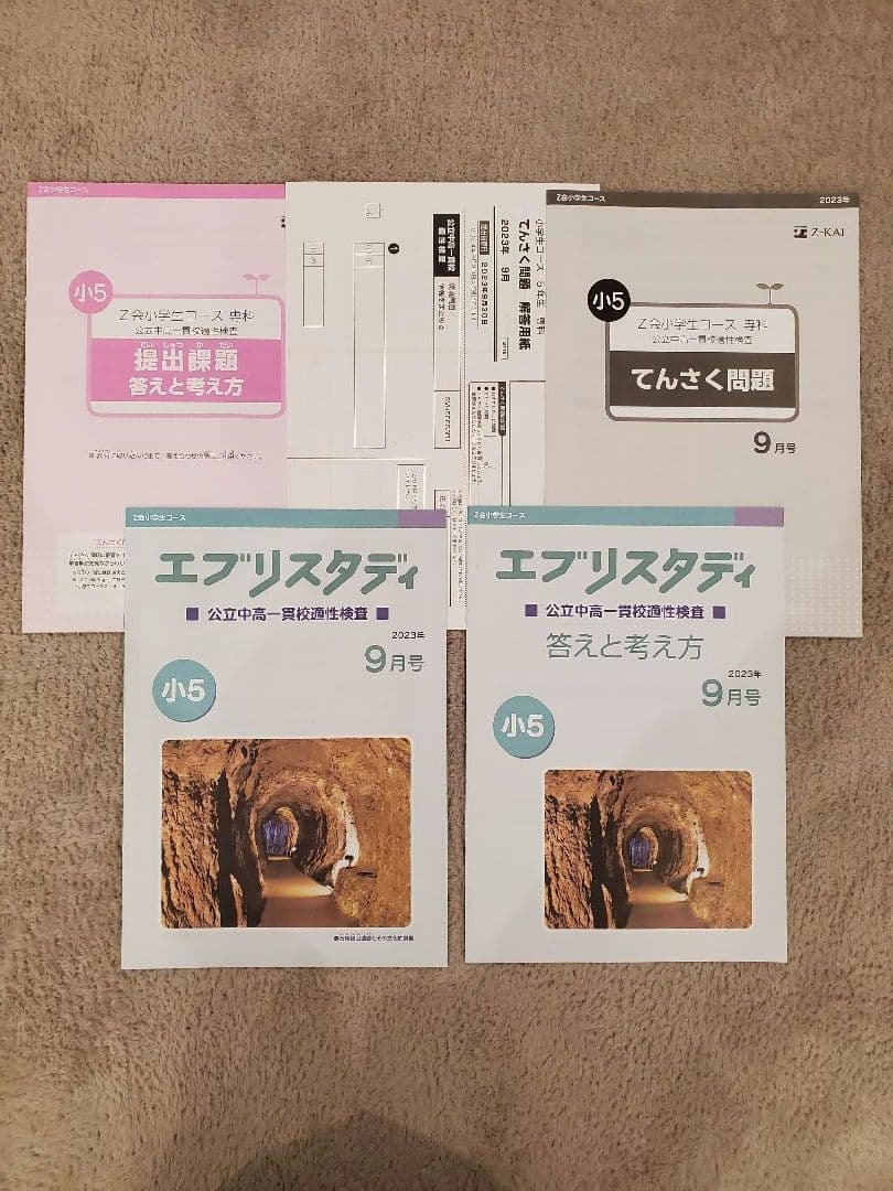 Z会 エブリスタディ 適性検査 小５ 公立中高一貫