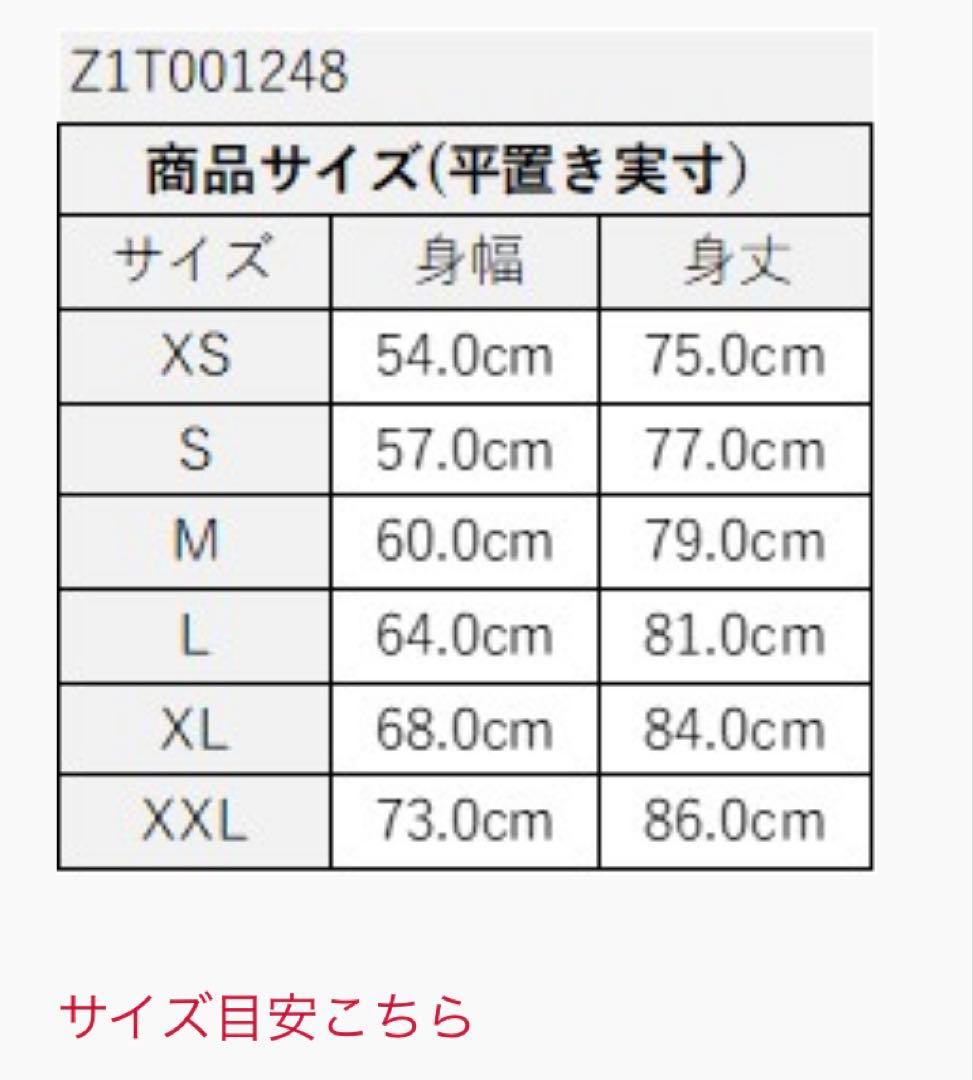 ZUMBAズンバメッシュTシャツ