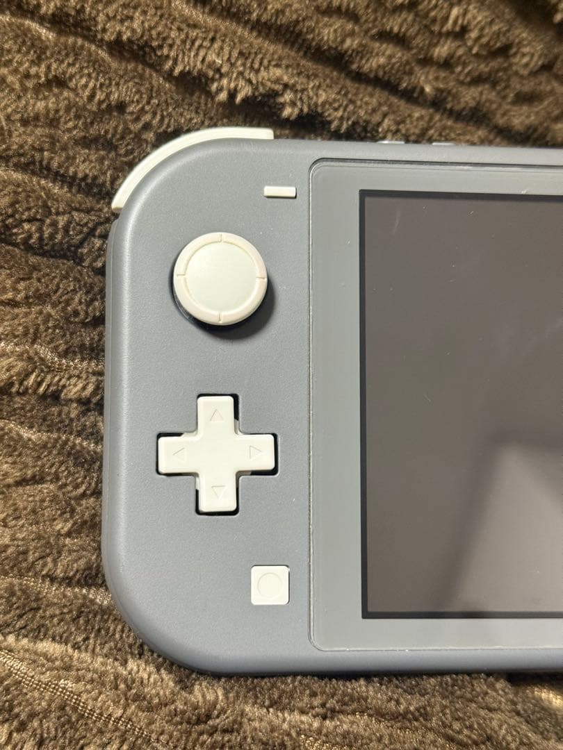 Nintendo Switch Light 本体 グレー 充電器付き