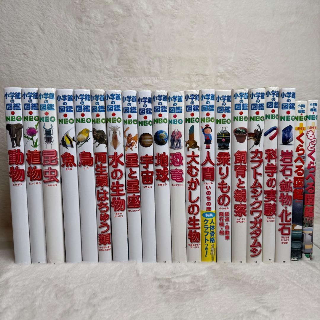 【良品】小学館の図鑑NEO 20冊セット　18巻まで連番