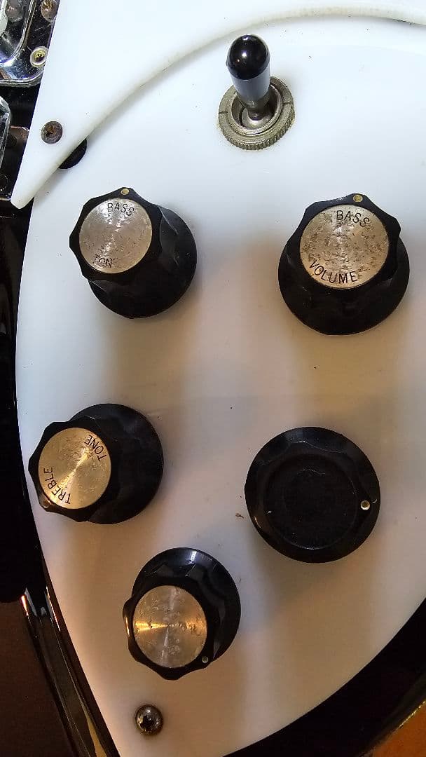 フェルナンデス RG-80？ Rickenbacker エレキギター ジャンク？
