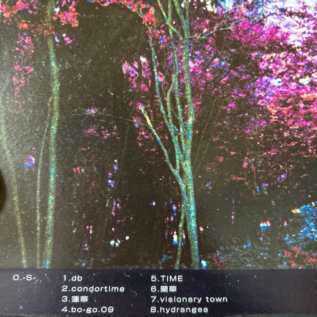 邦楽 Condor44 db