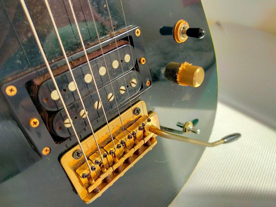 FERNANDES TEJ LIMITED EDITION ギター ジャンク