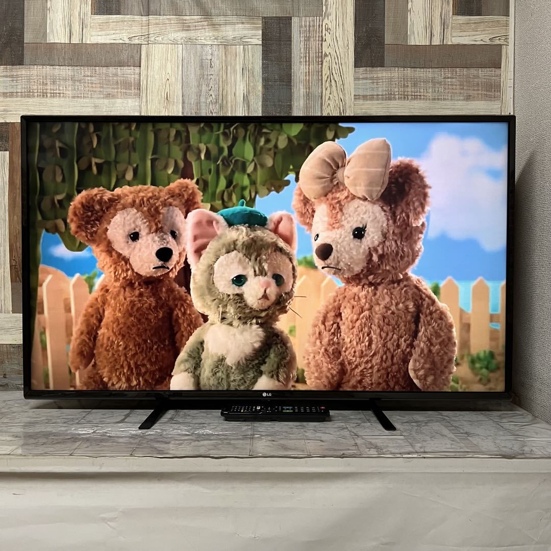 Rckyさん専用全国送料込49インチLGテレビ4K HDR対応液晶テレビ新品リモ
