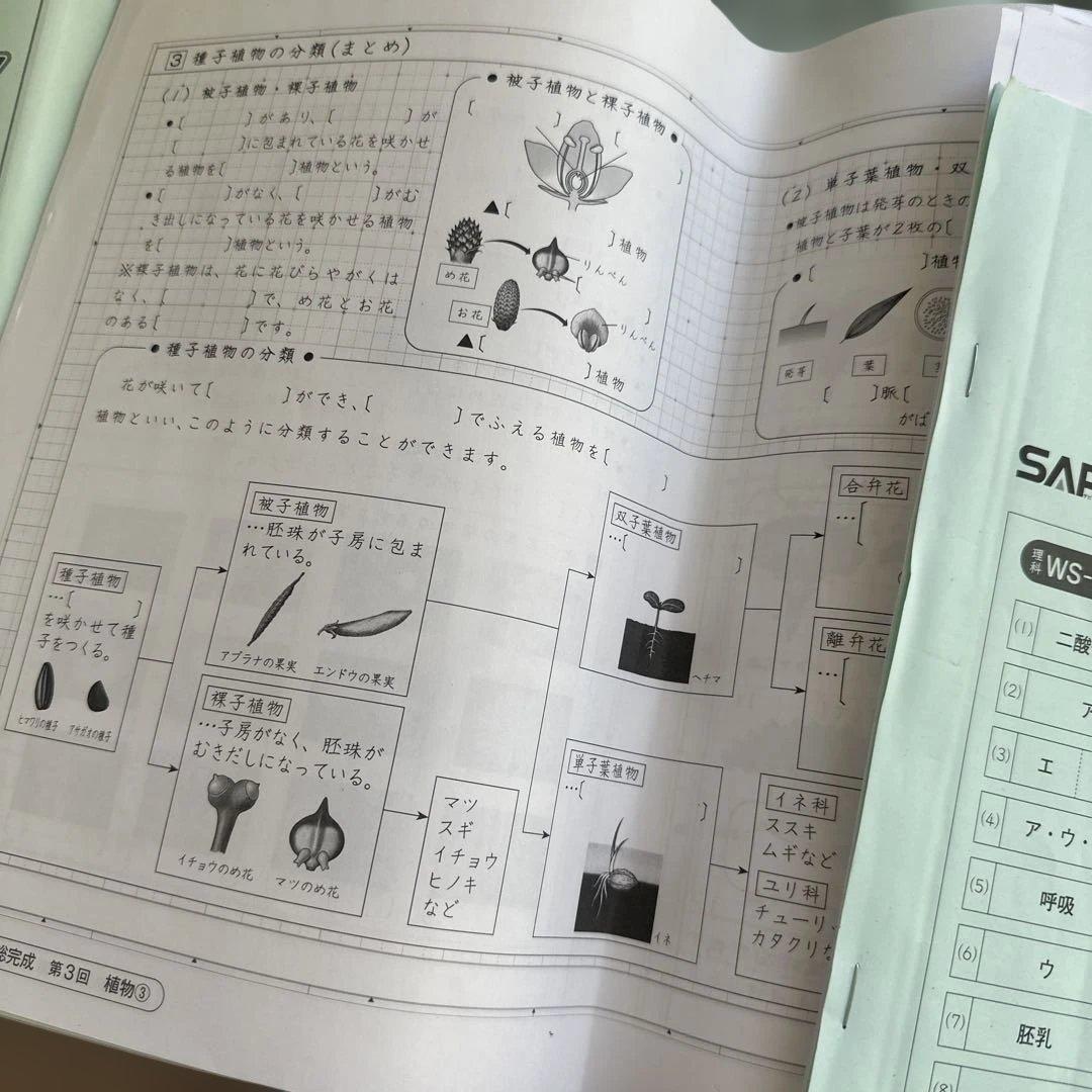 Weekly SapiX 理科 小6➕夏期集中2025年