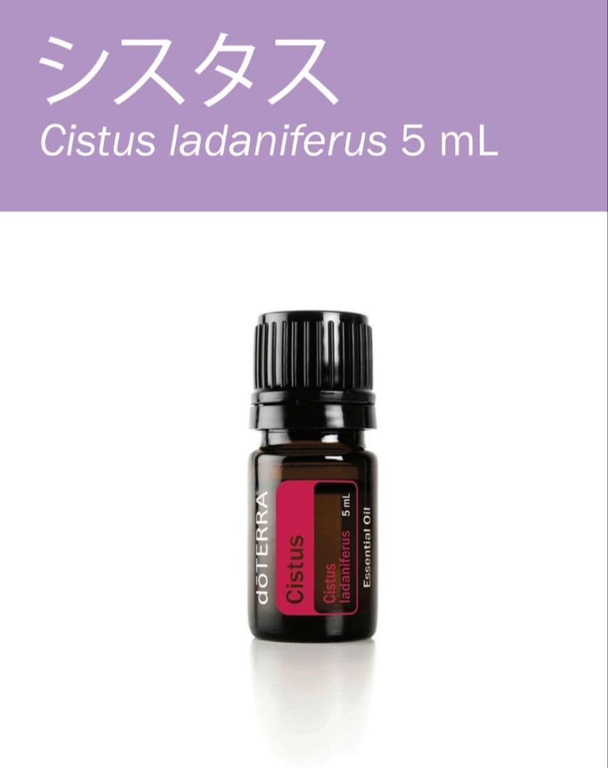 doTERRA ドテラ　シスタス