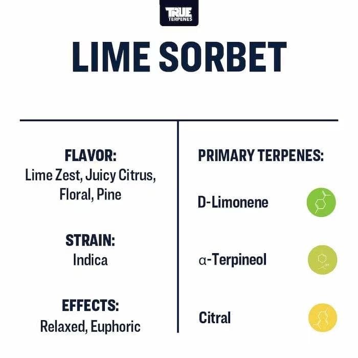 TRUE テルペン 香料 CBD CBN CBG 10ml ライムシャーベット