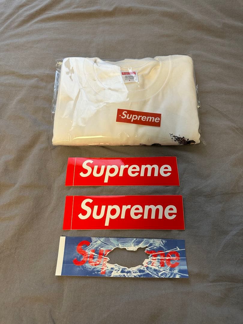 【新品】Supreme Evolution Tee Lサイズ White