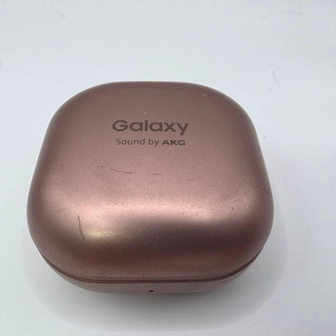 ポケモン　POKEMON　GALAXY Buds イヤホン　ポケパーク
