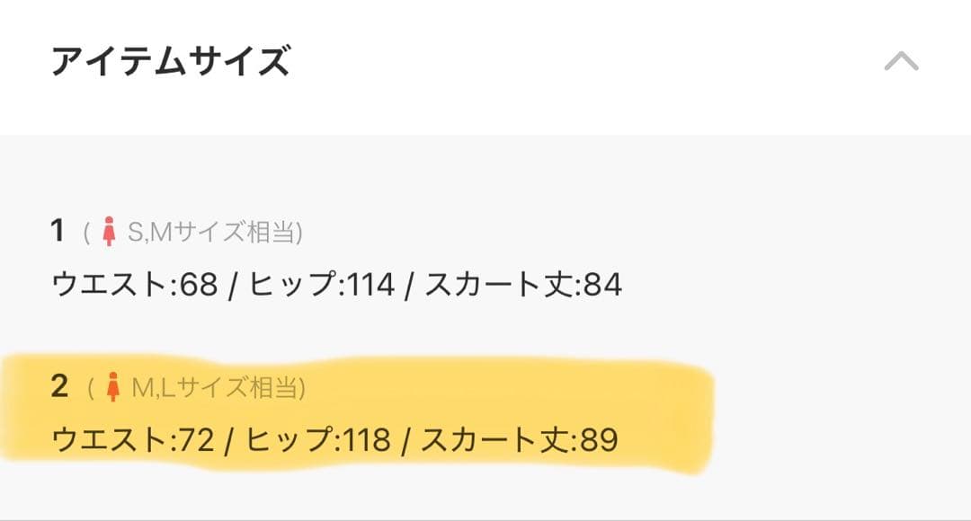 【1度のみ着用】 ユナイテッドトウキョウ センターZIPタックフレアスカート