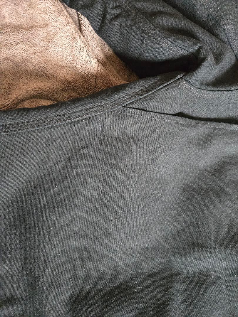 Carhartt デトロイトジャケット　125周年
