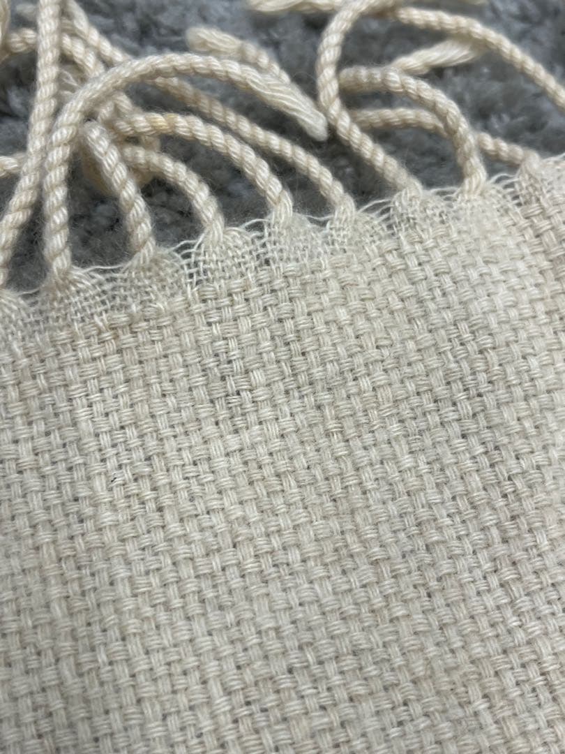 AGNONA アニオナ 大判 ストール ブランケット カシミヤ100クリーニング
