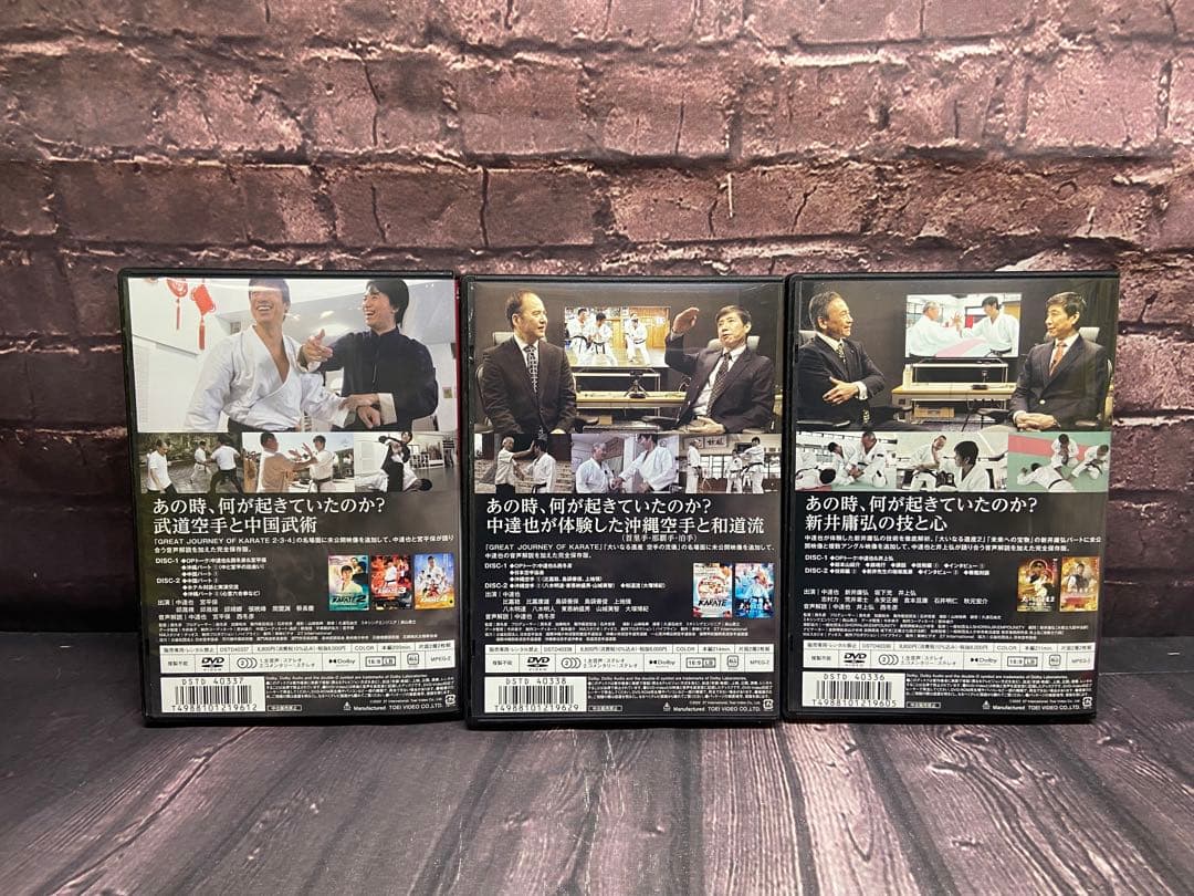 DVD ロードオブ黒帯 ワールド 少林寺拳法　中国武術　空手