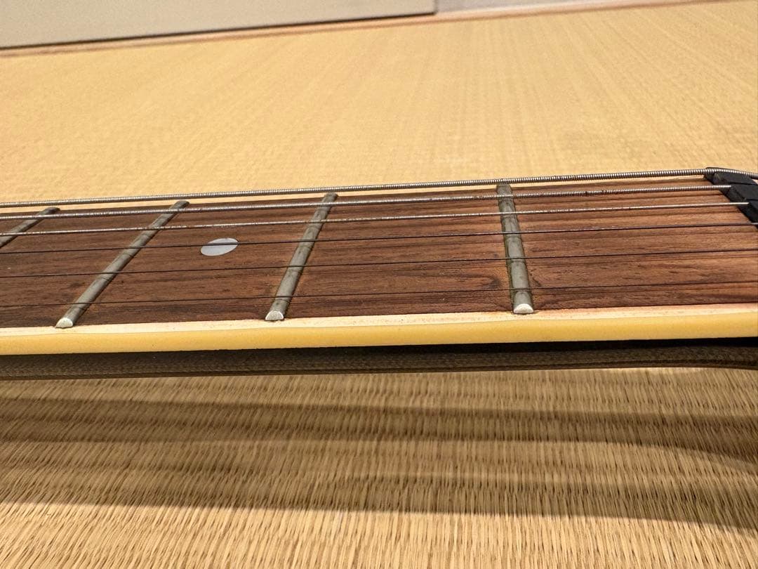 S*n様 最終値下げです　FERNANDES TEJ-55G リミテッドエディシ