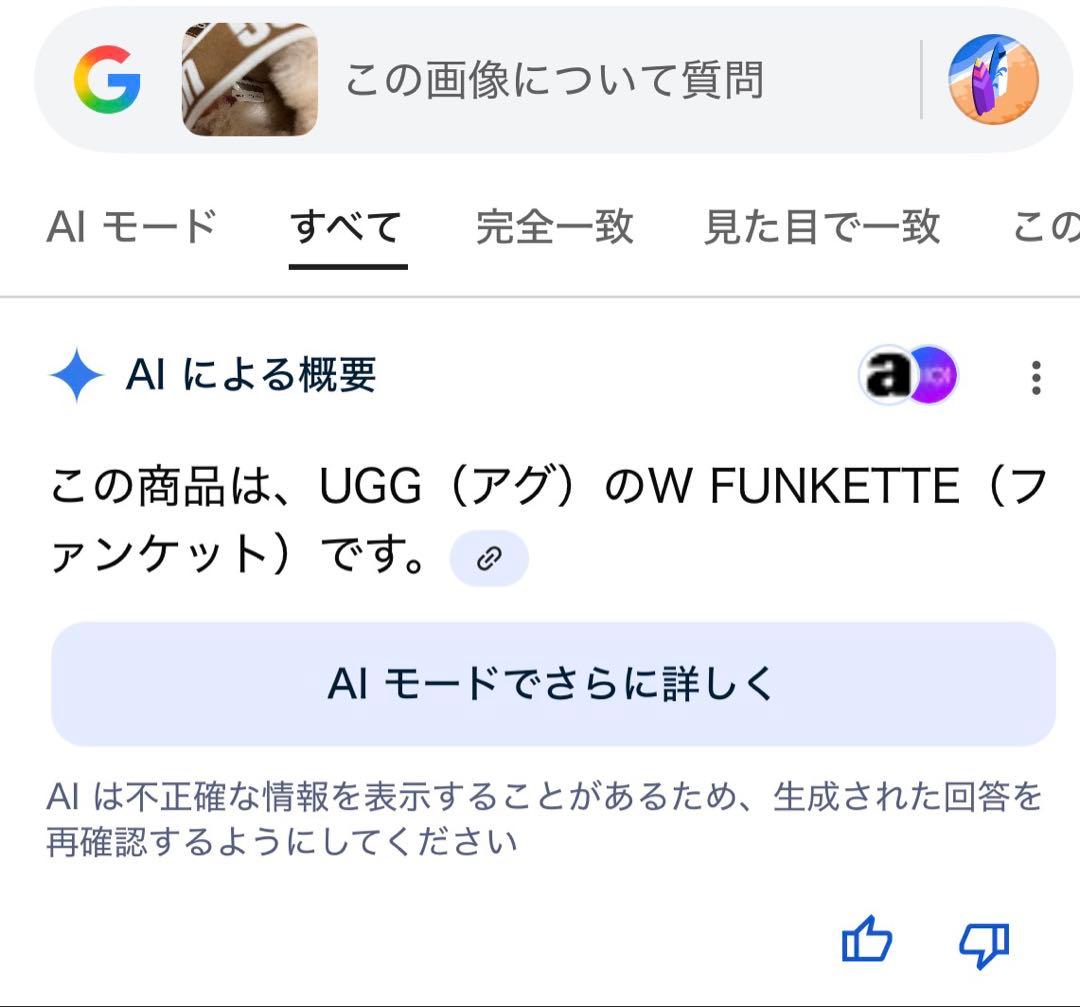 靴 UGG Funkette