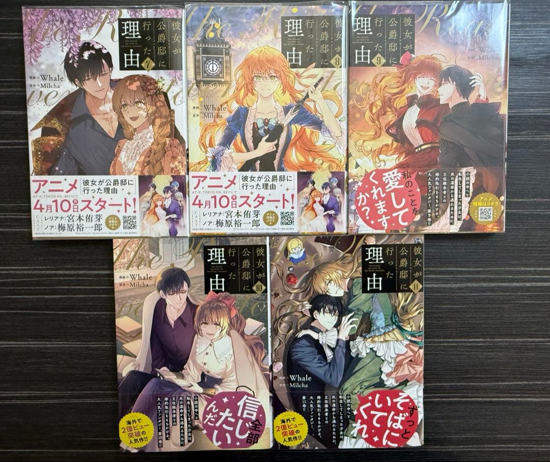 彼女が公爵邸に行った理由 1-11巻
