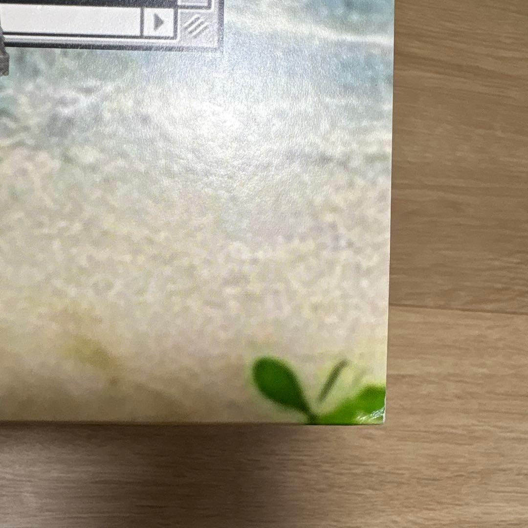 猫 シ Corp. Hiraeth LPレコード vaporwave