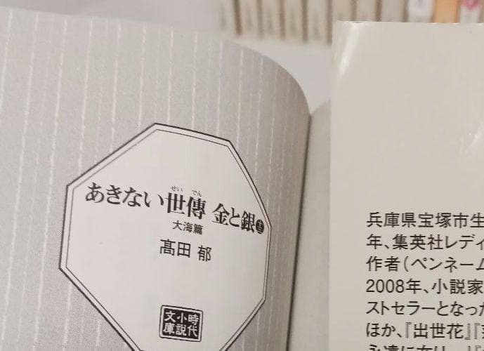 髙田郁「あきない世傳 金と銀」「みおつくし料理帖」など３３冊
