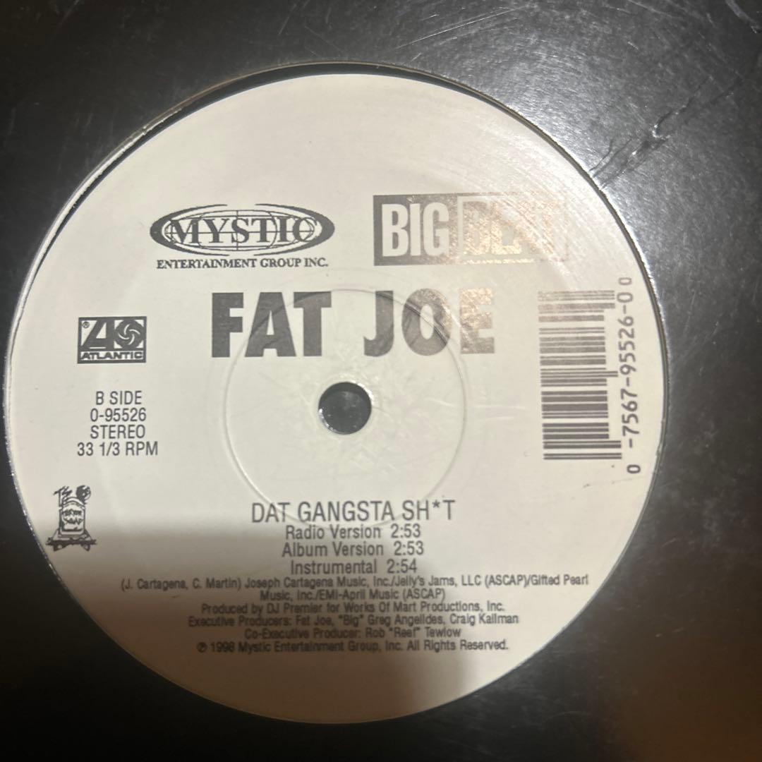 Big Pun, Fat Joe, テラースクワッドなど レコード12枚セット