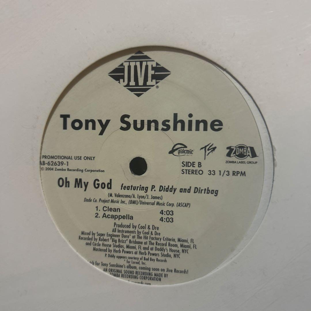 Big Pun, Fat Joe, テラースクワッドなど レコード12枚セット