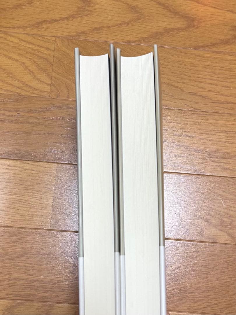 新西洋音楽史 中下巻セット
