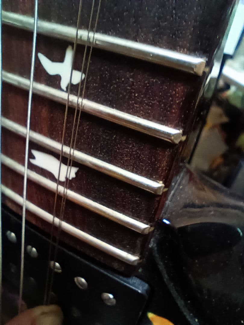 PRS S2 Vela Vernon Reidシグネチャー