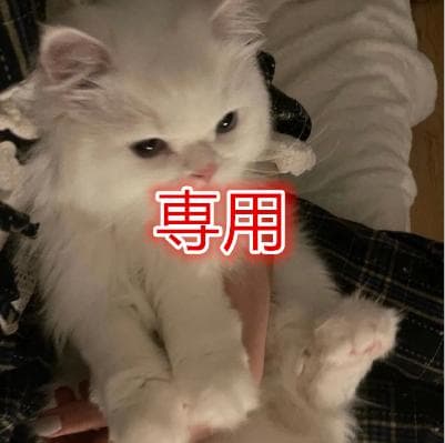 ブラック キルティング ショルダーバッグ ゴールド金具