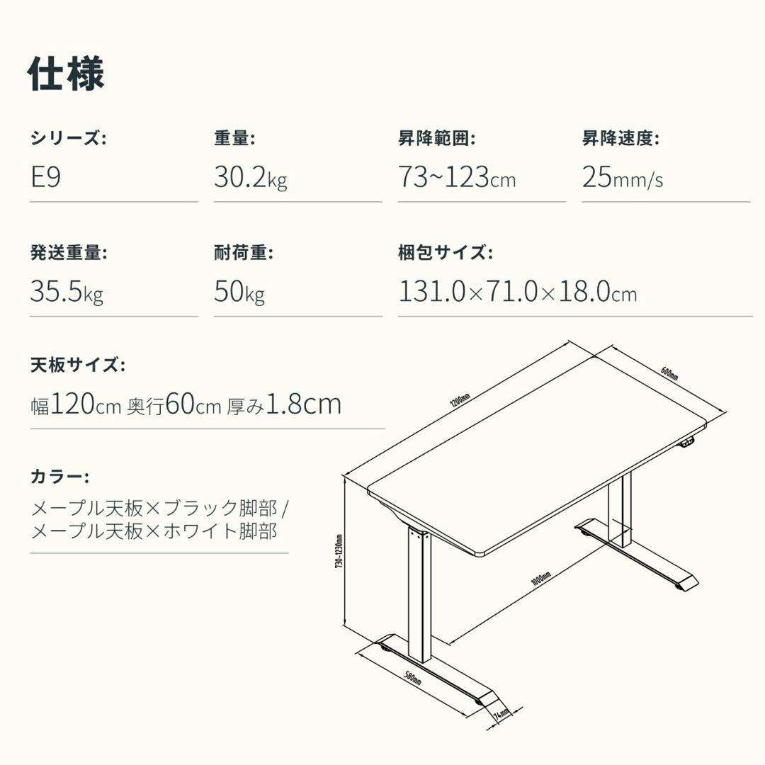 FlexiSpot E9 フレキシスポット　昇降デスク