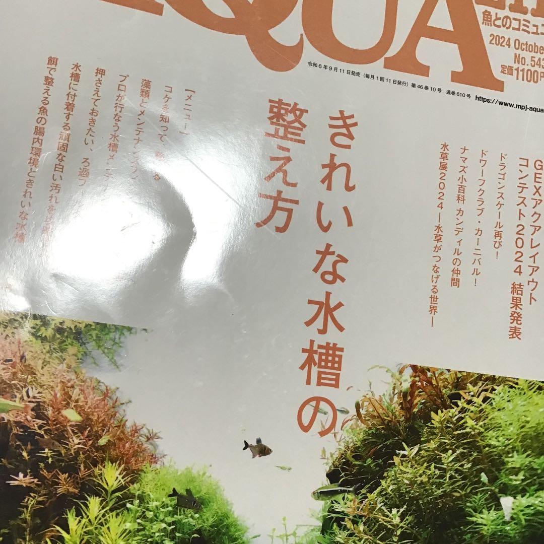 【メ】月刊アクアライフ 3冊セット