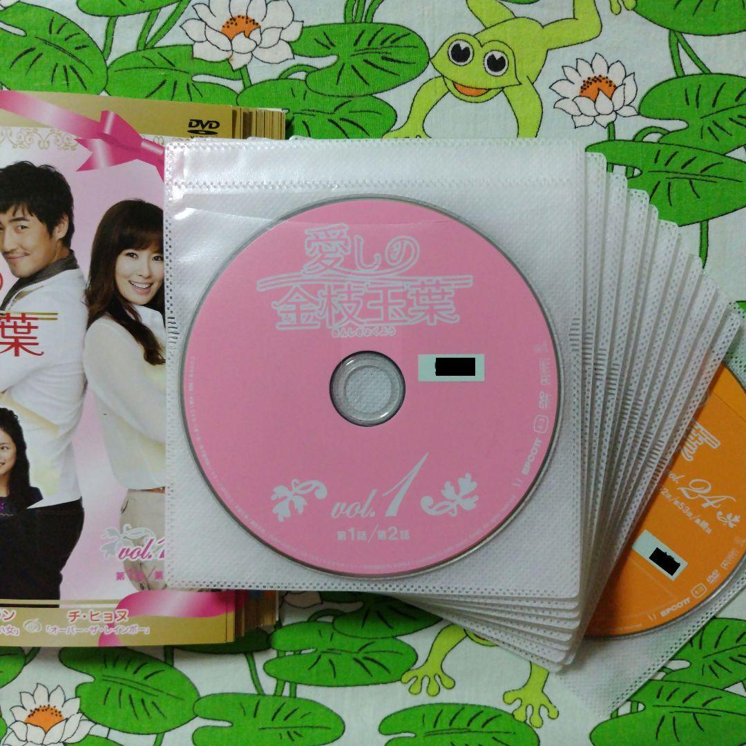 愛しの金枝玉葉　全24巻　DVD　韓国ドラマ　韓流ドラマ　ソン・ジュンギ