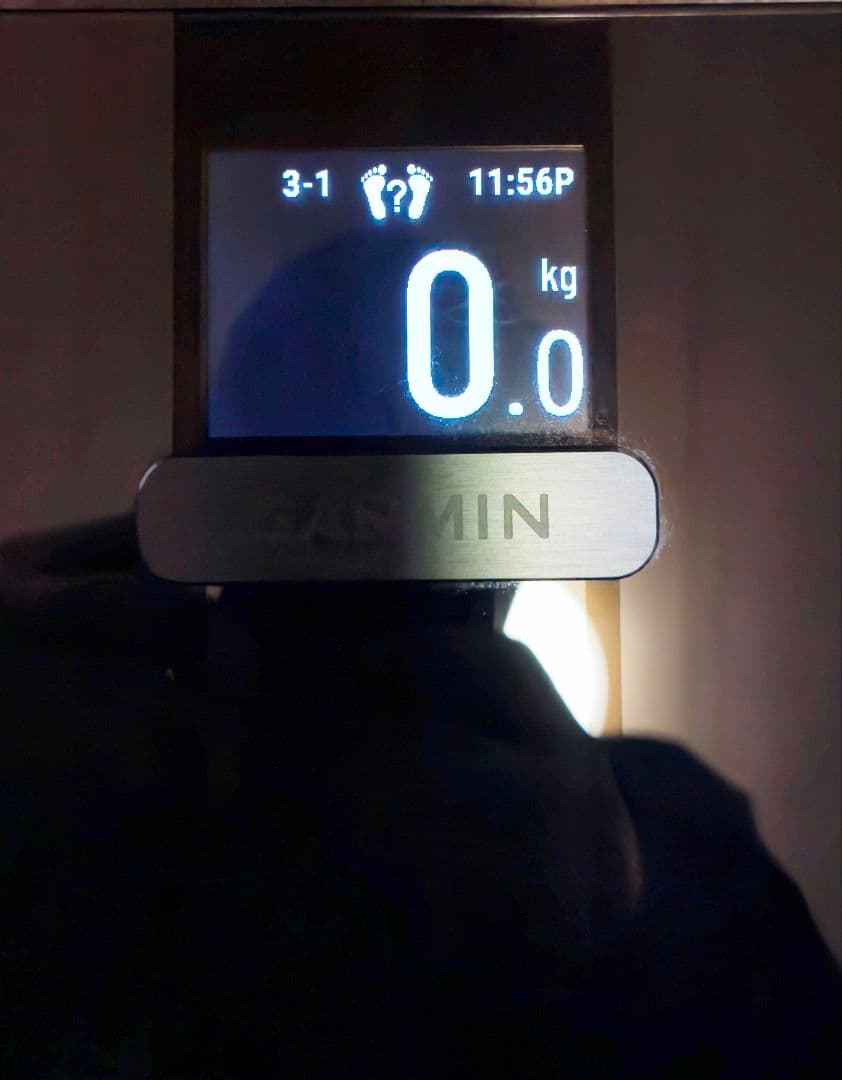Garmin Index S2 （箱なし）