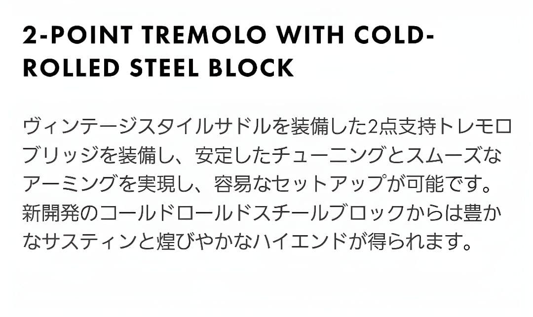 s*読様 Fender AmericanProfessionalStratoca