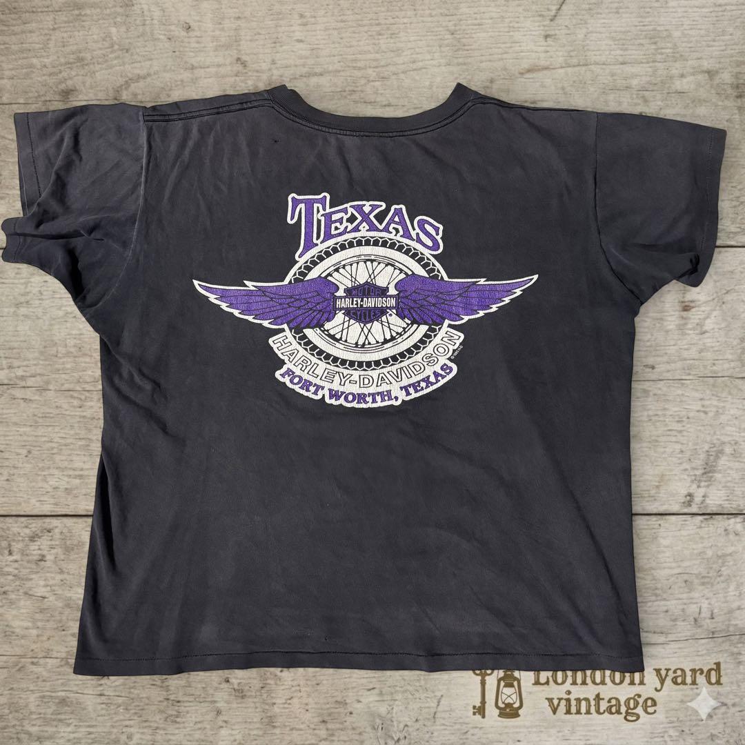 USA製Harley-DavidsonTHE THUNDERTシャツ L#750