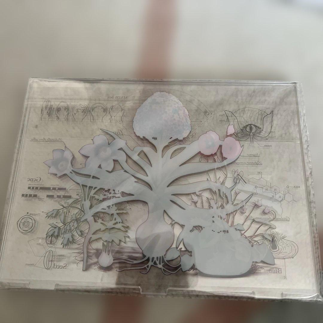 ゆず　図鑑　Visual art box