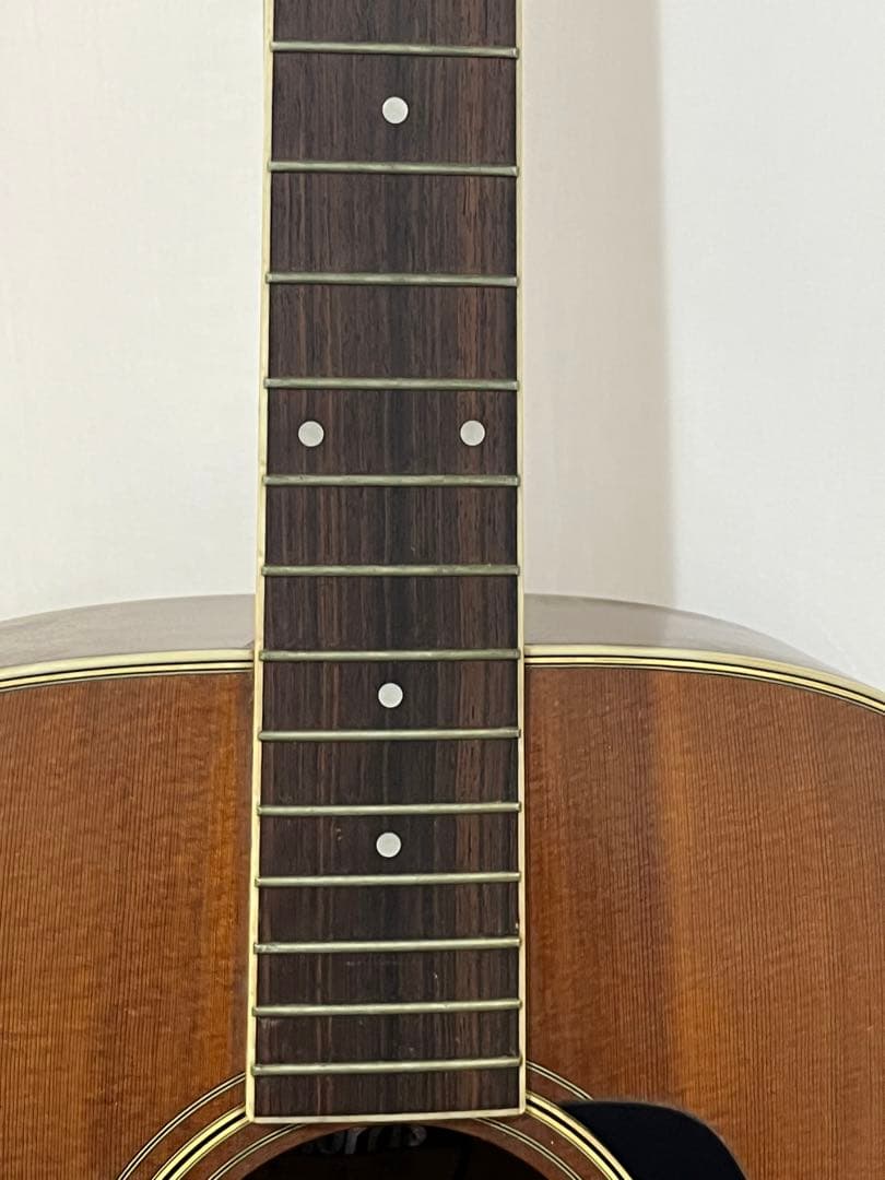 早期売りの為セール中　Morris アコースティックギター　MV-701